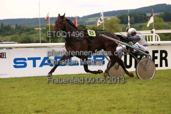 ET0Q1496 prot